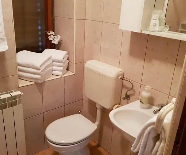 게스트하우스 & Stelio